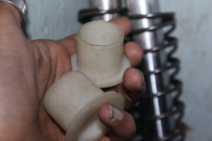 Front Shack Spring Bush