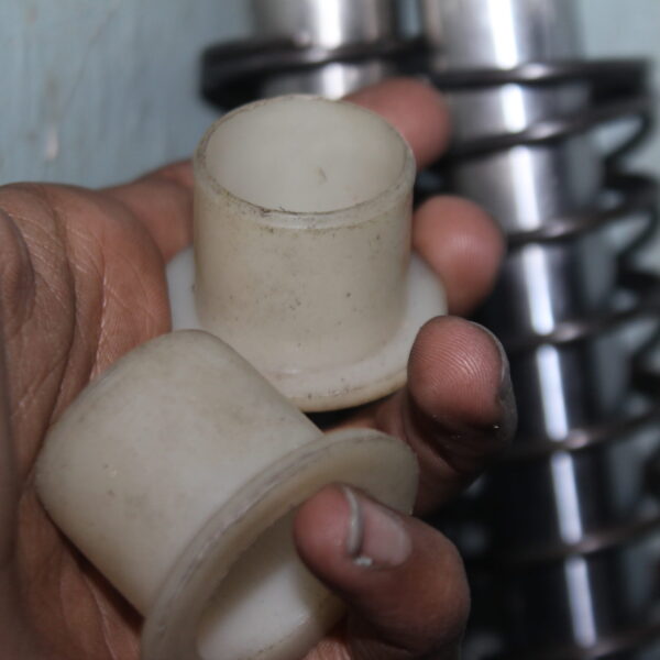 Front Shack Spring Bush